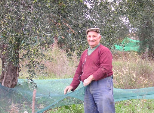 Umbria Harvest