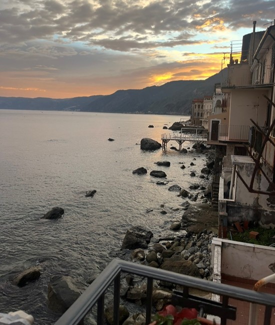 Just lovely Scilla at sunset