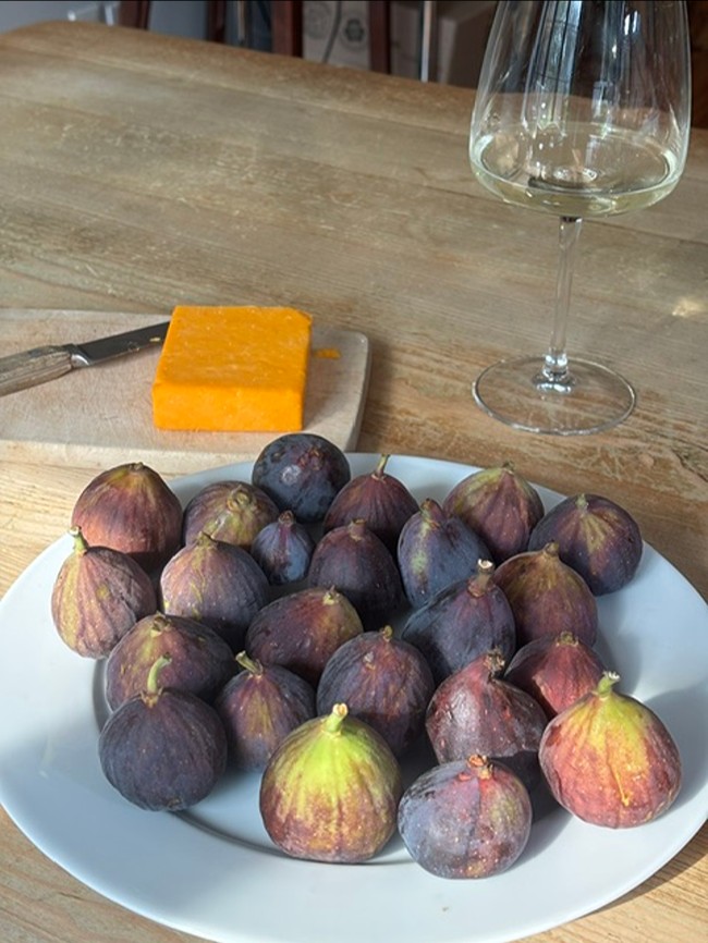 figs on plate